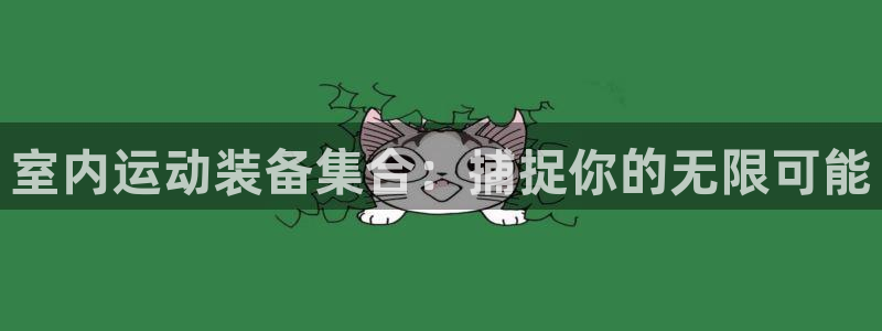 三亿体育官方正版app娱乐40996：室内运动装备集