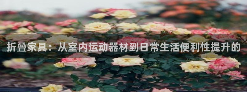 三亿体育官网下载招商电话是多少啊：折叠家具：从室内运