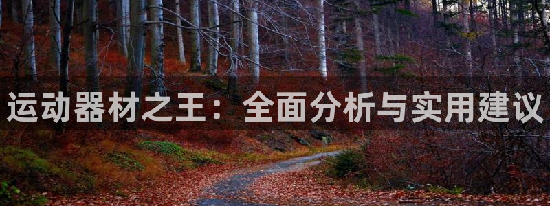 三亿体育官方正版app娱乐平台：运动器材之王：全面分析与实用