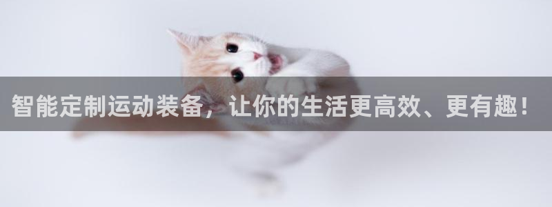 三亿体育官网下载是干嘛的公司：智能定制运动装备，让你