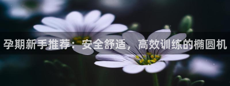 三亿体育官方正版app集团官网首页网址