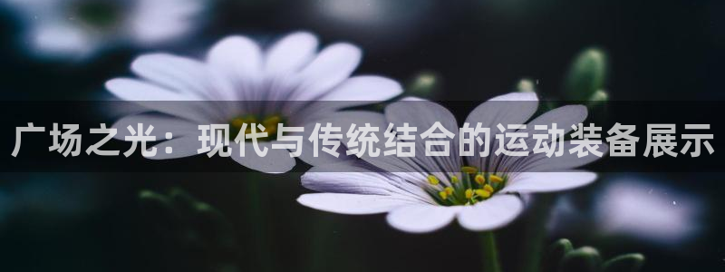 三亿体育官方正版app集团官网首页