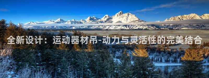 三亿体育官网下载是干嘛的公司：全新设计：运动器材吊-