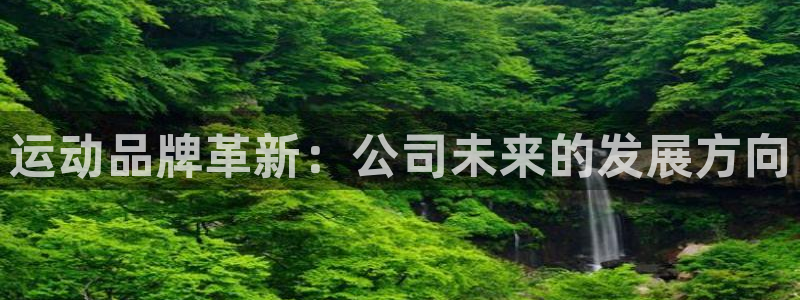 三亿体育官方正版app新能源：运动品牌革新：公司未来