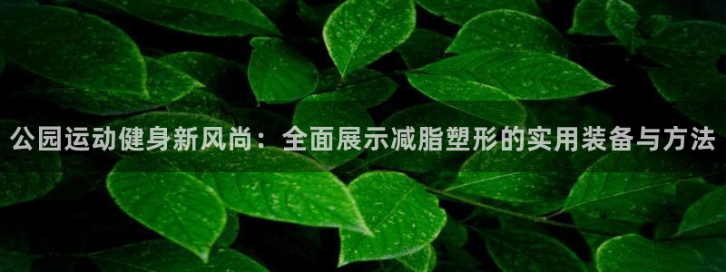 海南三亿体育官网下载：公园运动健身新风尚：全面展示减