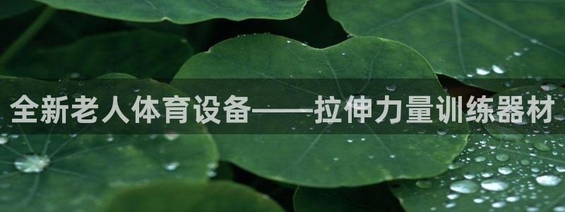 三亿体育官方正版app集团简介：全新老人体育设备——拉伸力量