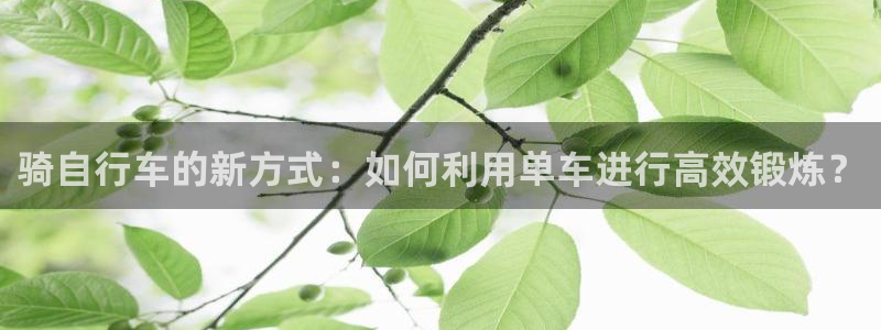三亿体育官网下载平台是正规平台吗安全吗：骑自行车的新方式：如