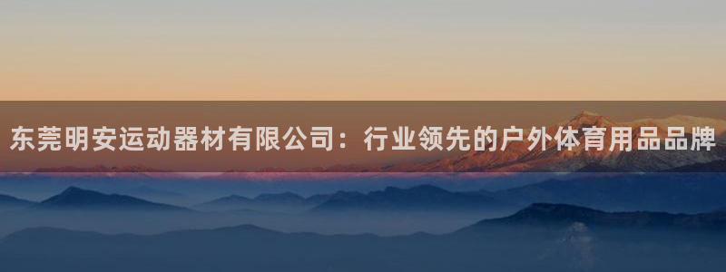 三亿官方平台体育：东莞明安运动器材有限公司：行业领先