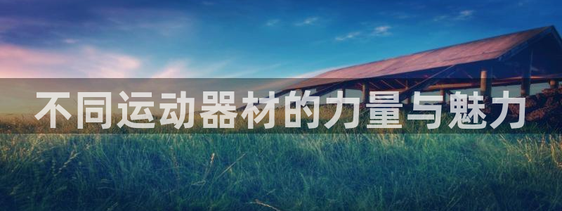 三亿体育官方正版app新能源