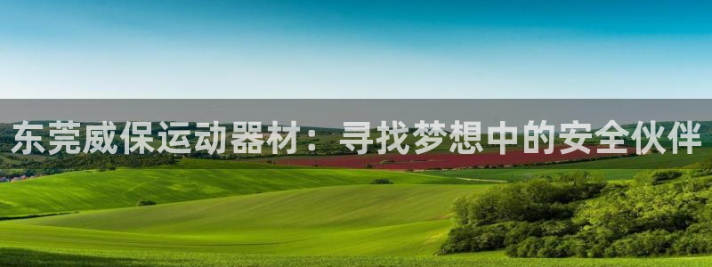 三亿体育官网下载平台假的吗是真的吗吗：东莞威保运动器材：寻找