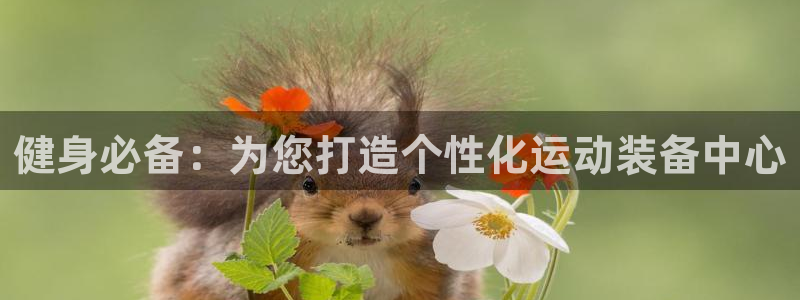 三亿体育官网下载是干嘛的公司：健身必备：为您打造个性化运动装