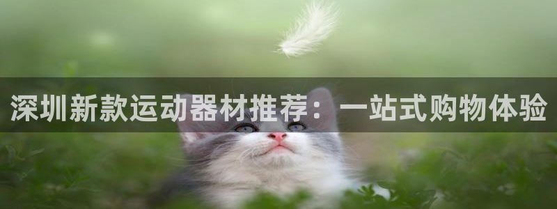 三亿体育官方正版app集团官网网址：深圳新款运动器材推荐：一