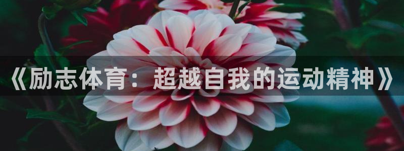 哈哈体育十年：《励志体育：超越自我的运动精神》