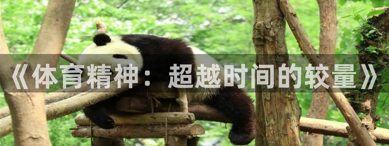 哈哈体育十年：《体育精神：超越时间的较量》