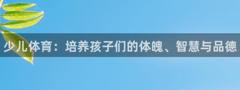 哈哈体育十年